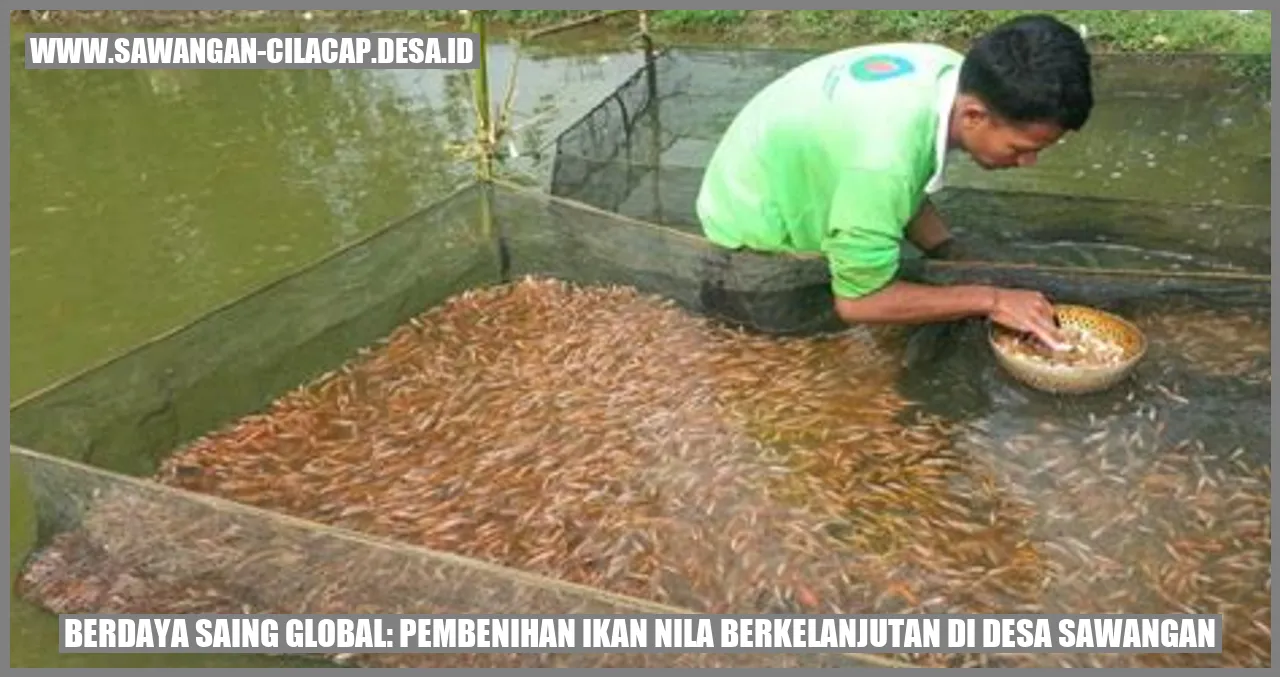 Berdaya Saing Global: Pembenihan Ikan Nila Berkelanjutan di Desa Sawangan