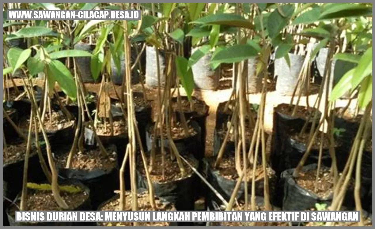 Bisnis Durian Desa: Menyusun Langkah Pembibitan yang Efektif di Sawangan