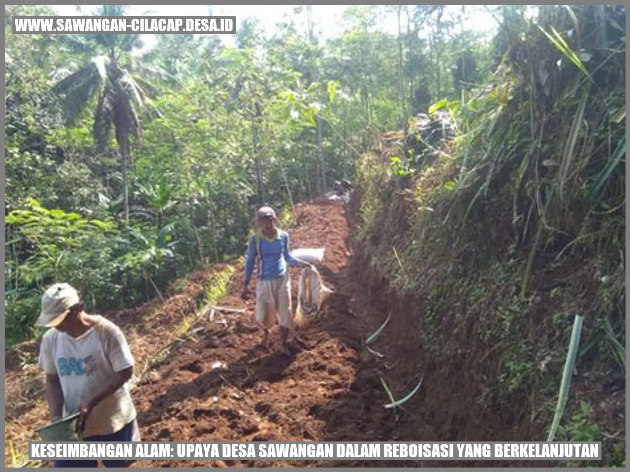 Keseimbangan Alam: Upaya Desa Sawangan dalam Reboisasi yang Berkelanjutan