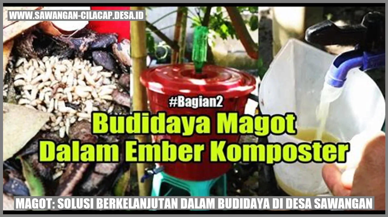 Magot: Budidaya Berkelanjutan Desa Sawangan