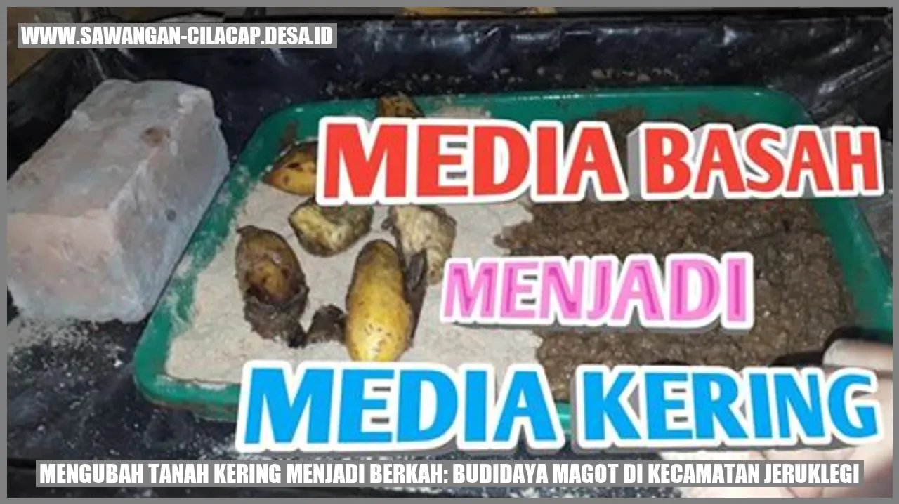 Perubahan Tanah Kering Melalui Budidaya Magot