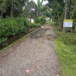 WhatsApp Image 2025-11-03 at 10.15.56