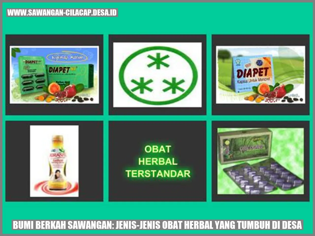 Bumi Berkah Sawangan: Jenis-jenis Obat Herbal yang Tumbuh di Desa