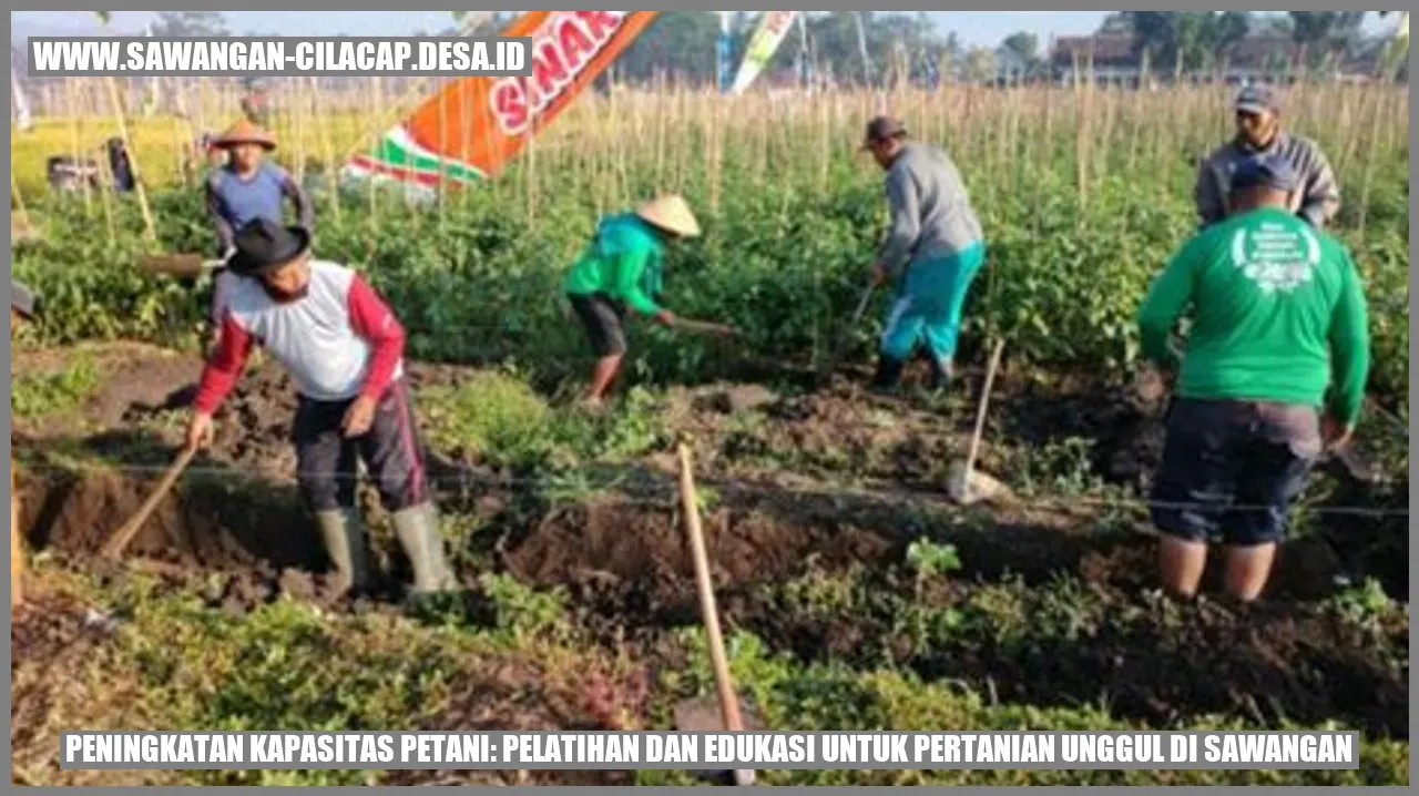 Peningkatan Kapasitas Petani: Pelatihan dan Edukasi untuk Pertanian Unggul di Sawangan